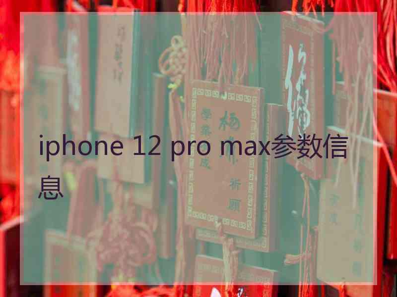 iphone 12 pro max参数信息