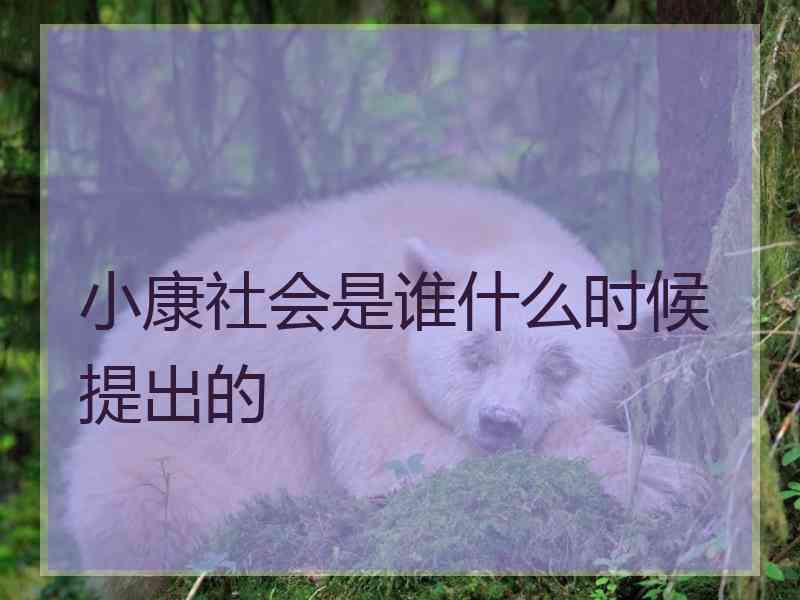 小康社会是谁什么时候提出的