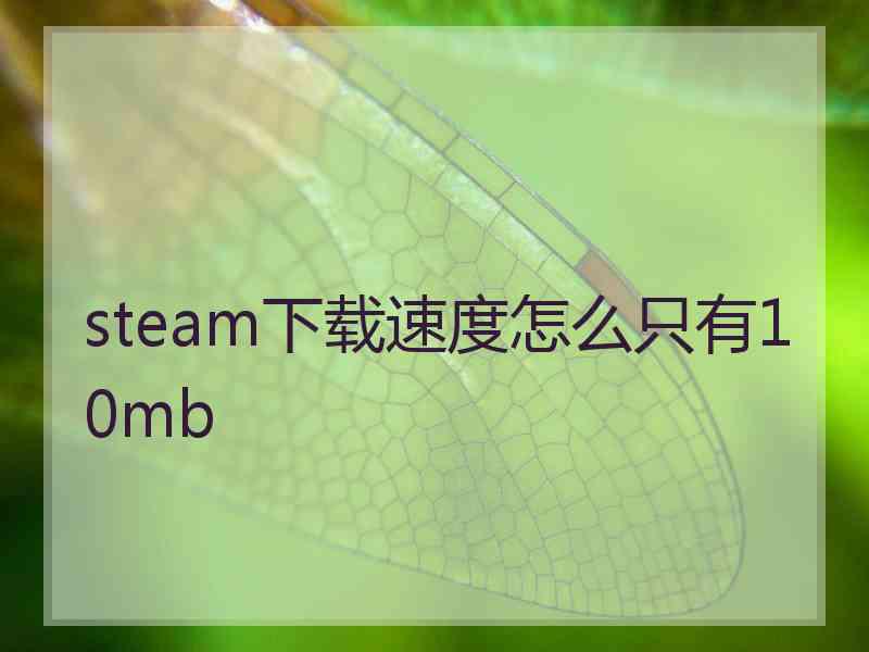 steam下载速度怎么只有10mb