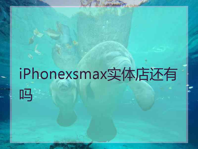 iPhonexsmax实体店还有吗