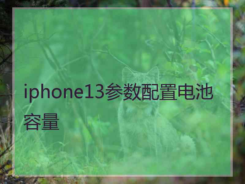 iphone13参数配置电池容量