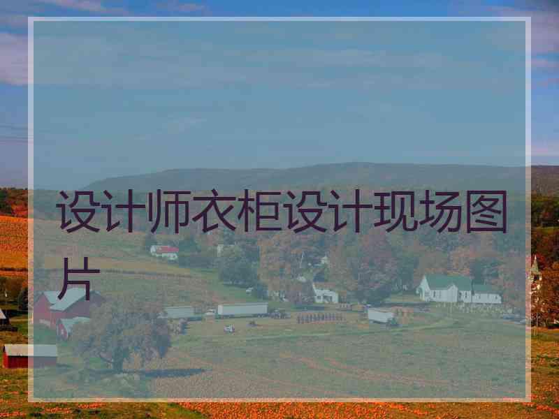 设计师衣柜设计现场图片