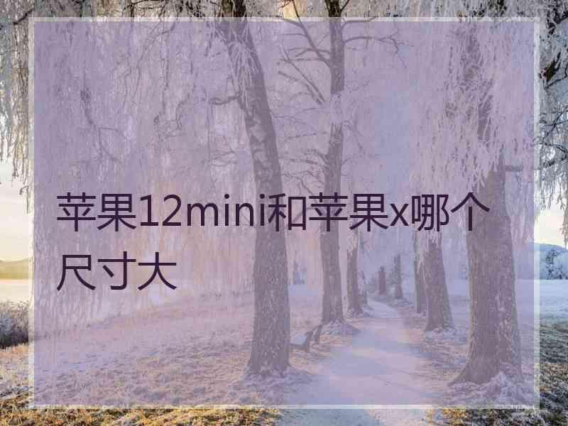 苹果12mini和苹果x哪个尺寸大