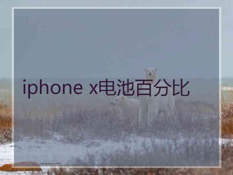 iphone x电池百分比