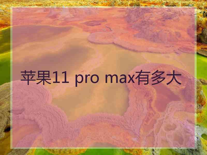 苹果11 pro max有多大