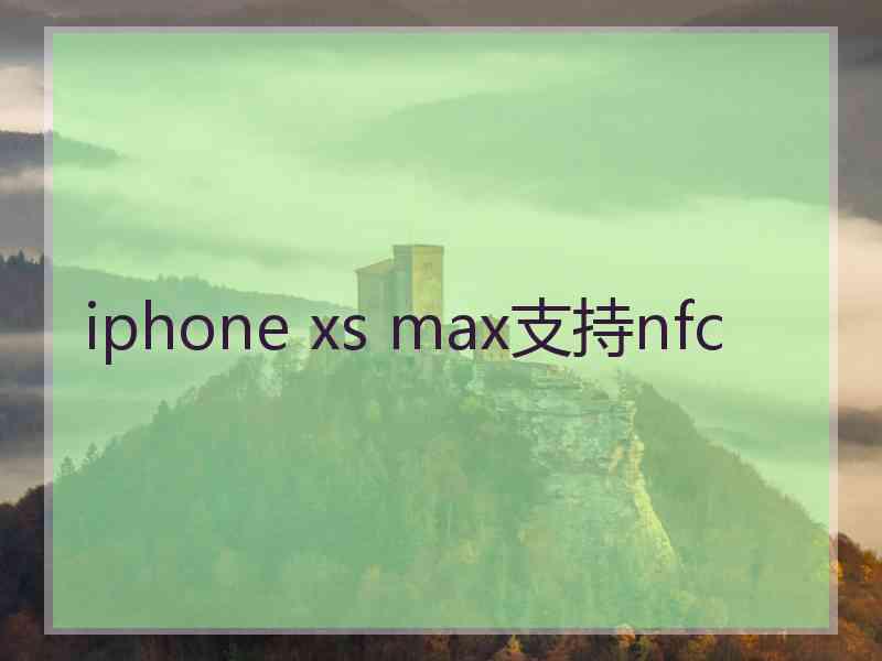 iphone xs max支持nfc