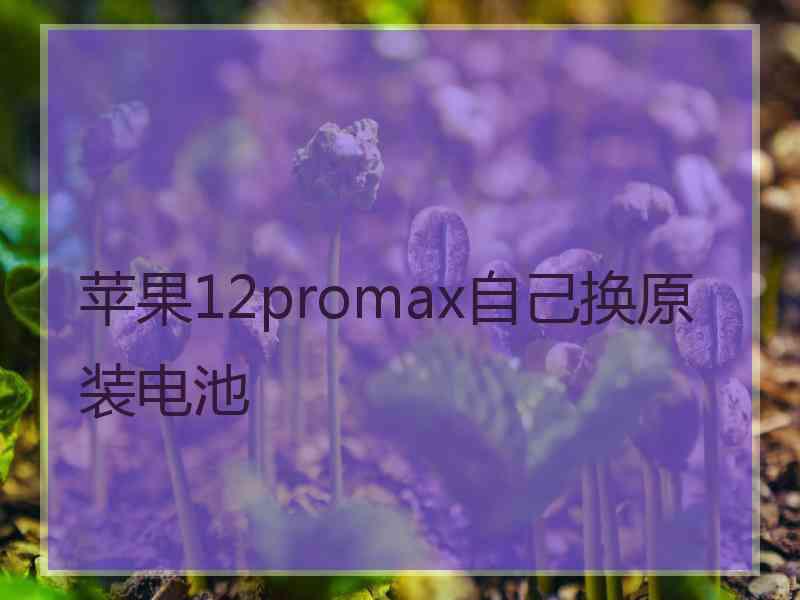 苹果12promax自己换原装电池