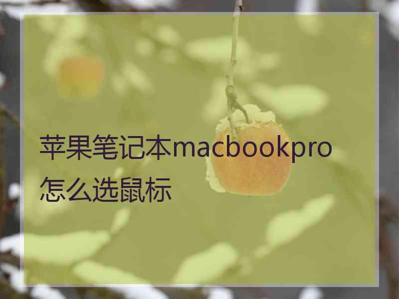 苹果笔记本macbookpro怎么选鼠标