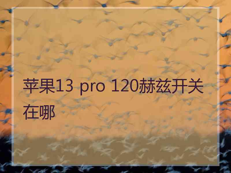 苹果13 pro 120赫兹开关在哪