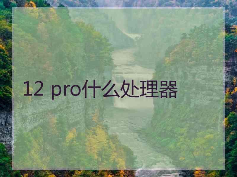 12 pro什么处理器