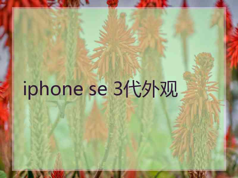 iphone se 3代外观