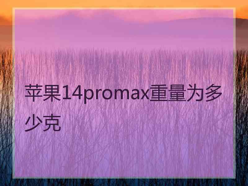 苹果14promax重量为多少克