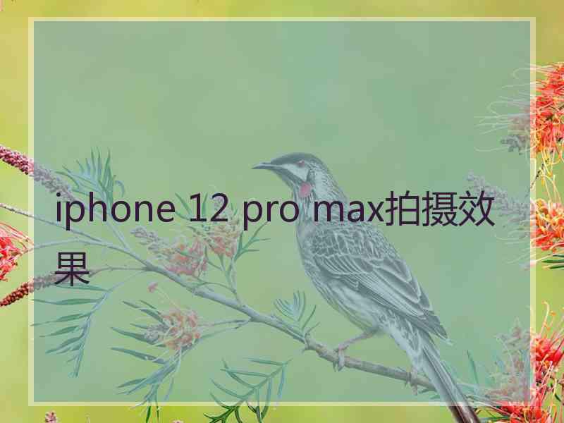 iphone 12 pro max拍摄效果