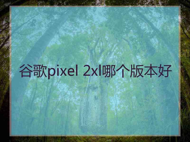 谷歌pixel 2xl哪个版本好