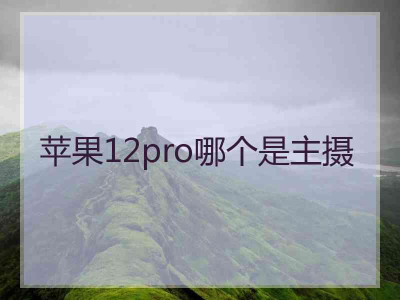 苹果12pro哪个是主摄