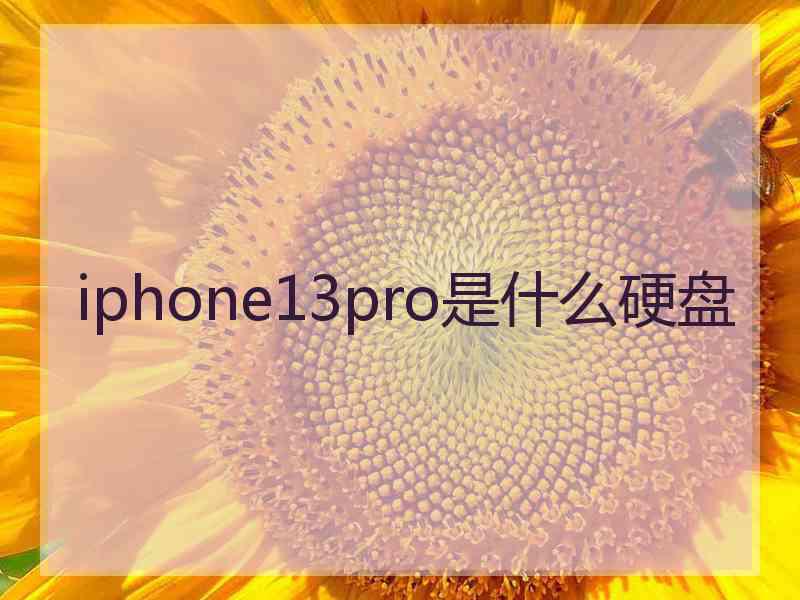 iphone13pro是什么硬盘