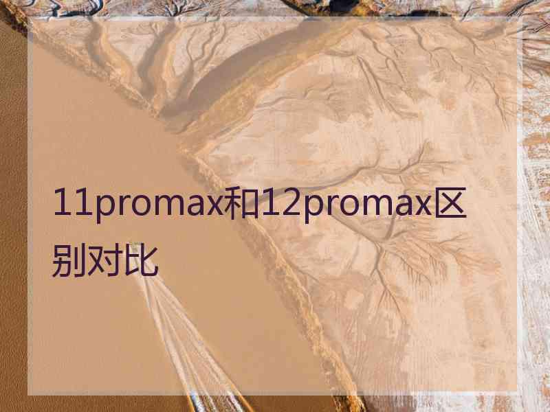 11promax和12promax区别对比