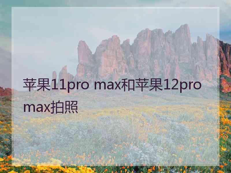 苹果11pro max和苹果12promax拍照