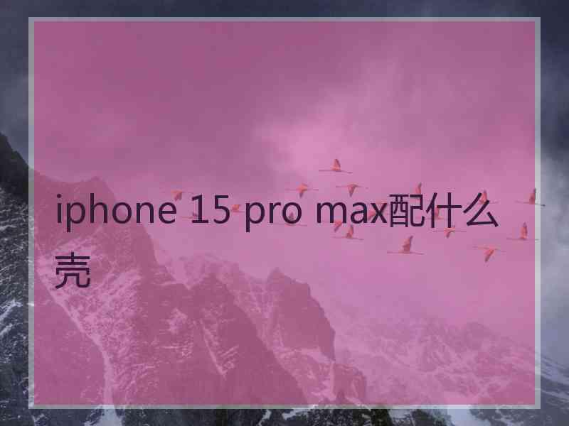 iphone 15 pro max配什么壳