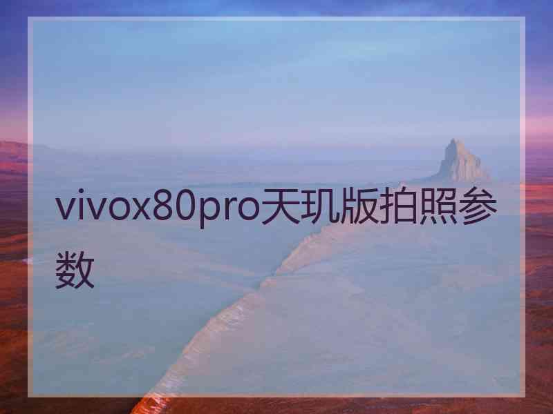 vivox80pro天玑版拍照参数