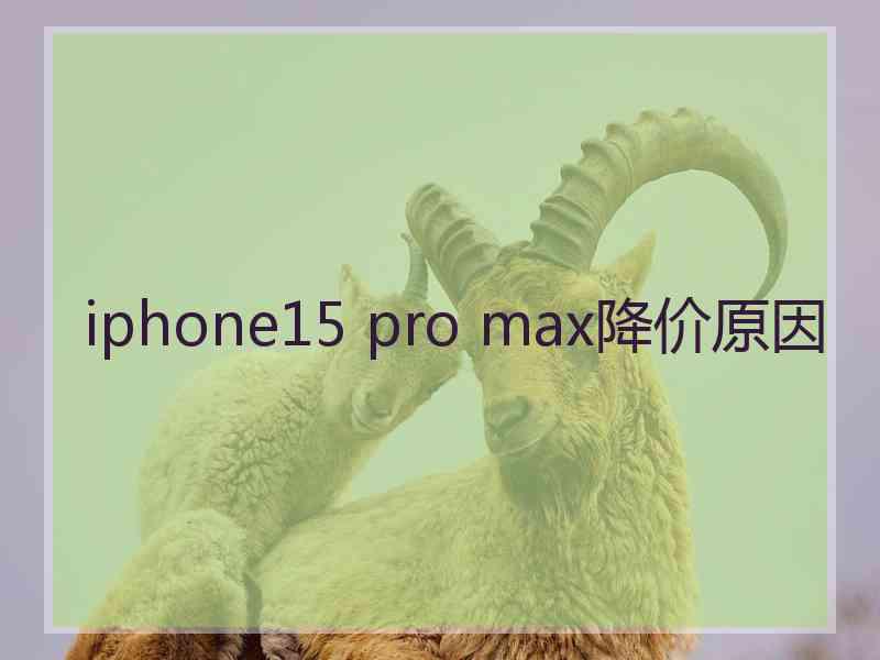 iphone15 pro max降价原因