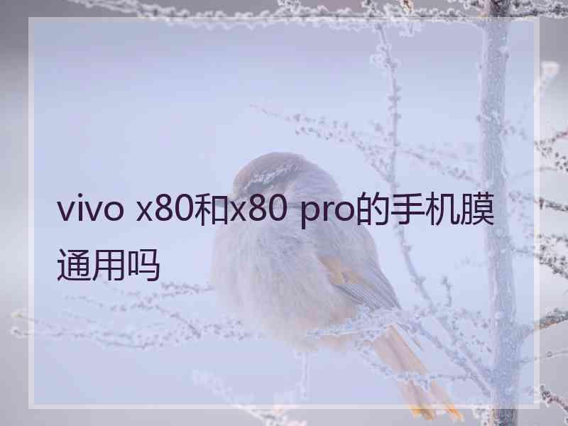 vivo x80和x80 pro的手机膜通用吗