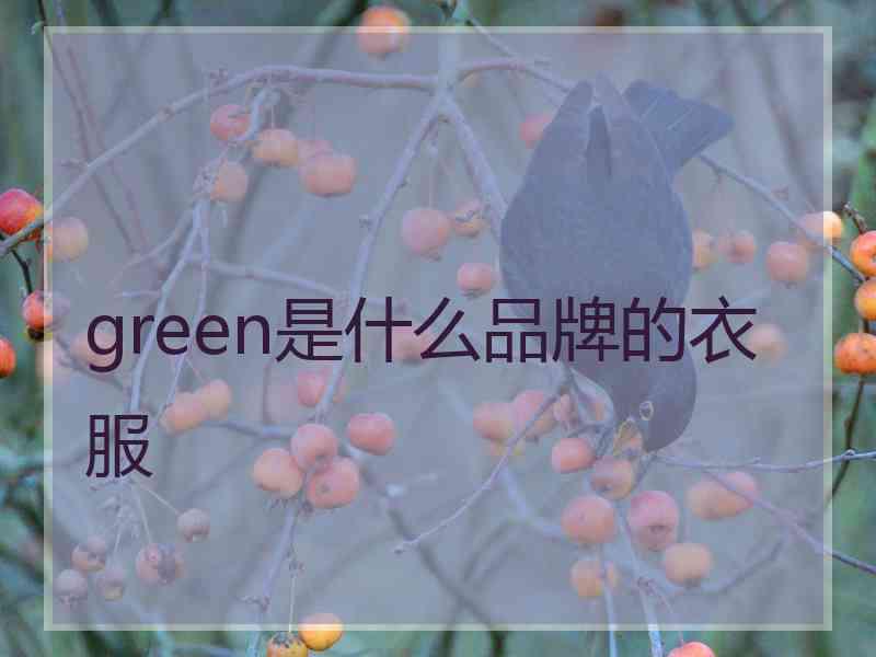 green是什么品牌的衣服