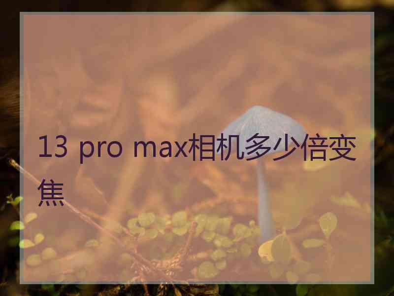 13 pro max相机多少倍变焦