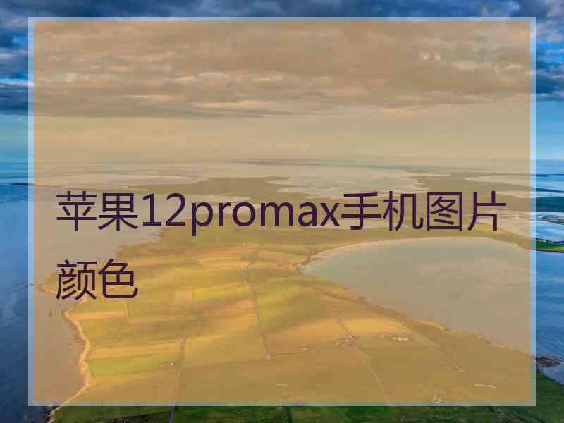 苹果12promax手机图片颜色