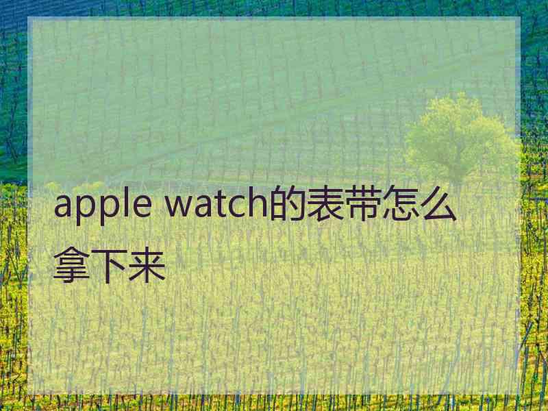 apple watch的表带怎么拿下来