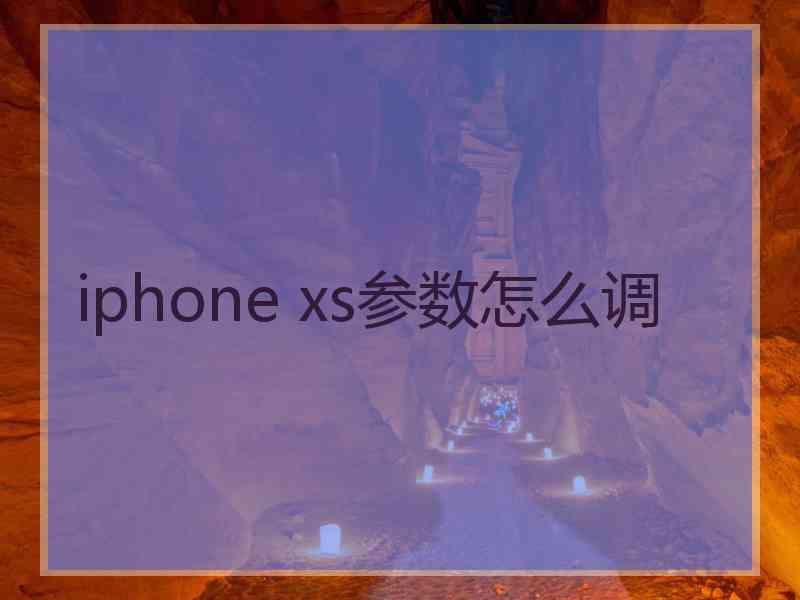 iphone xs参数怎么调