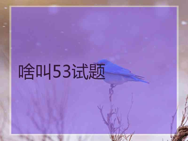 啥叫53试题