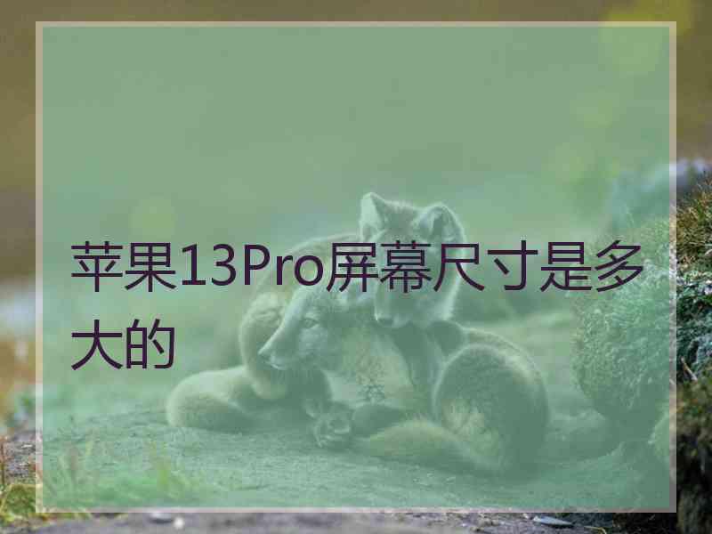 苹果13Pro屏幕尺寸是多大的