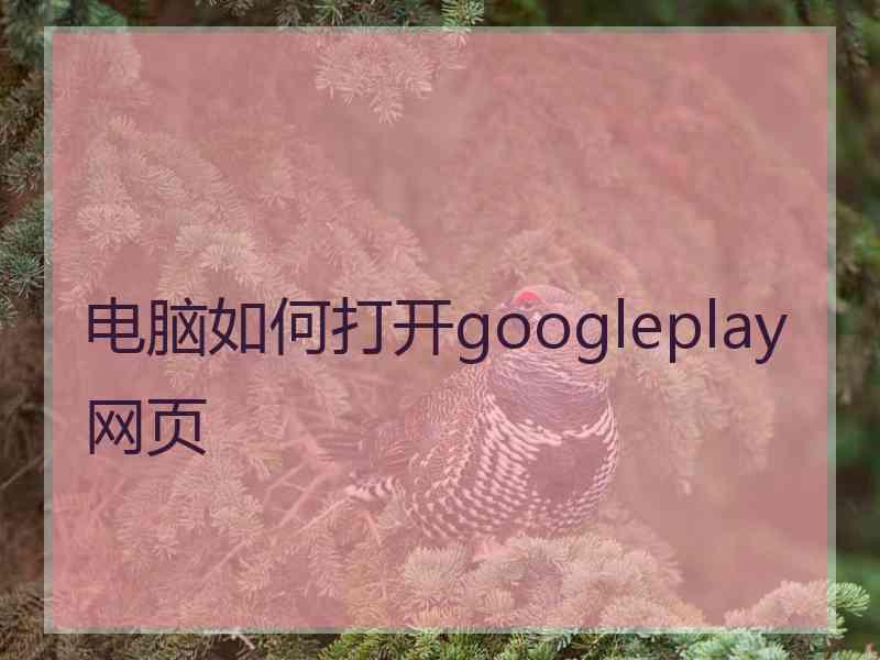 电脑如何打开googleplay网页