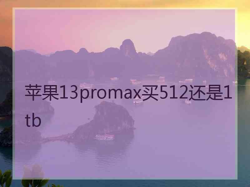 苹果13promax买512还是1tb