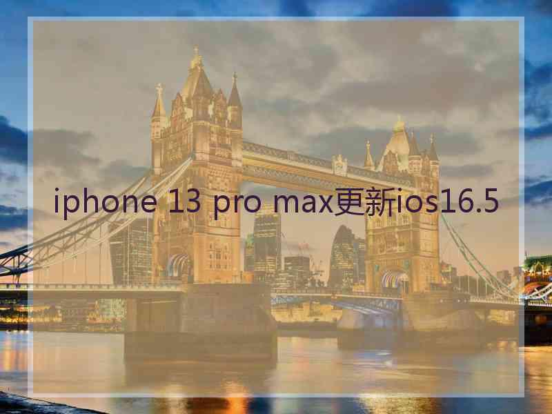 iphone 13 pro max更新ios16.5