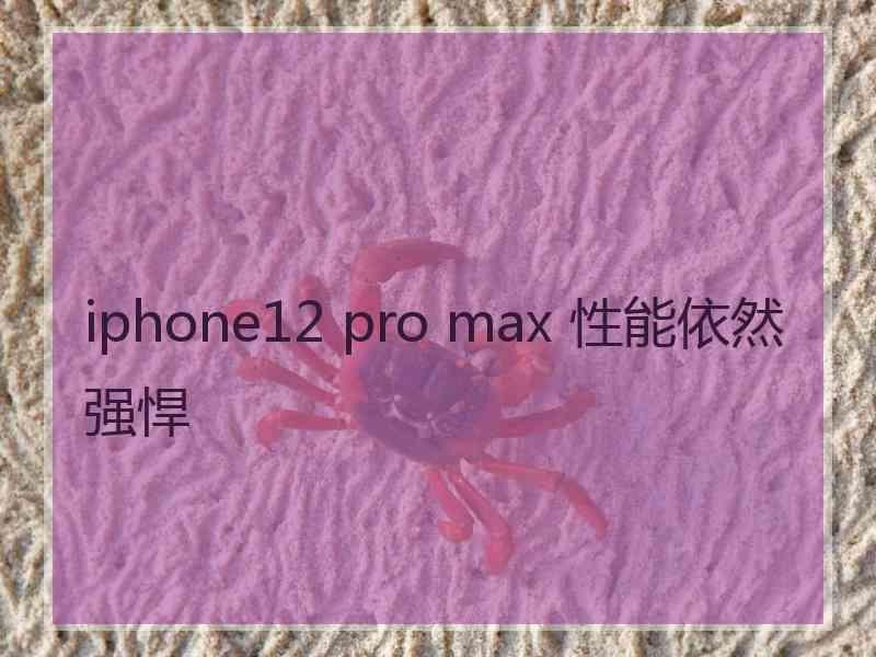 iphone12 pro max 性能依然强悍