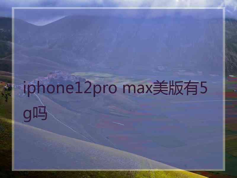 iphone12pro max美版有5g吗