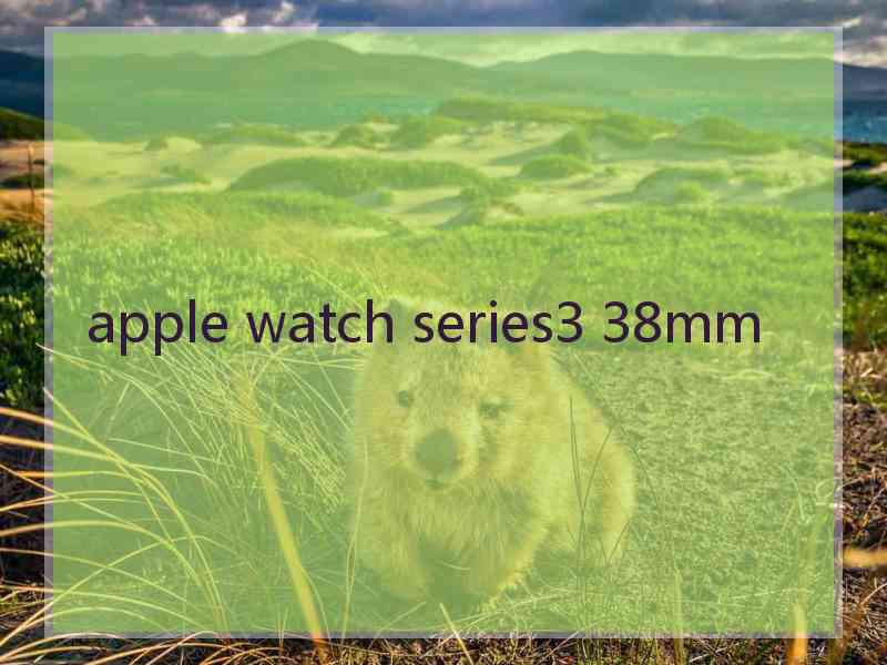 apple watch series3 38mm