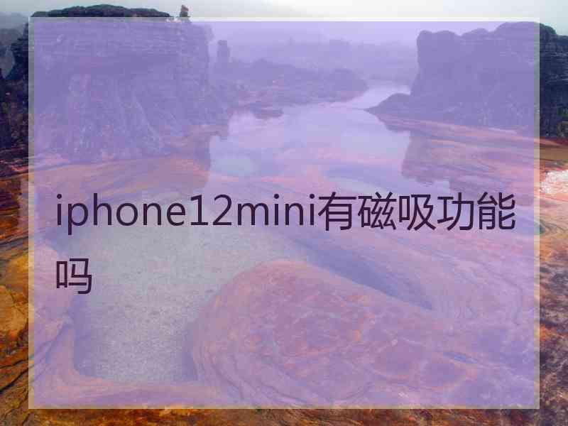 iphone12mini有磁吸功能吗