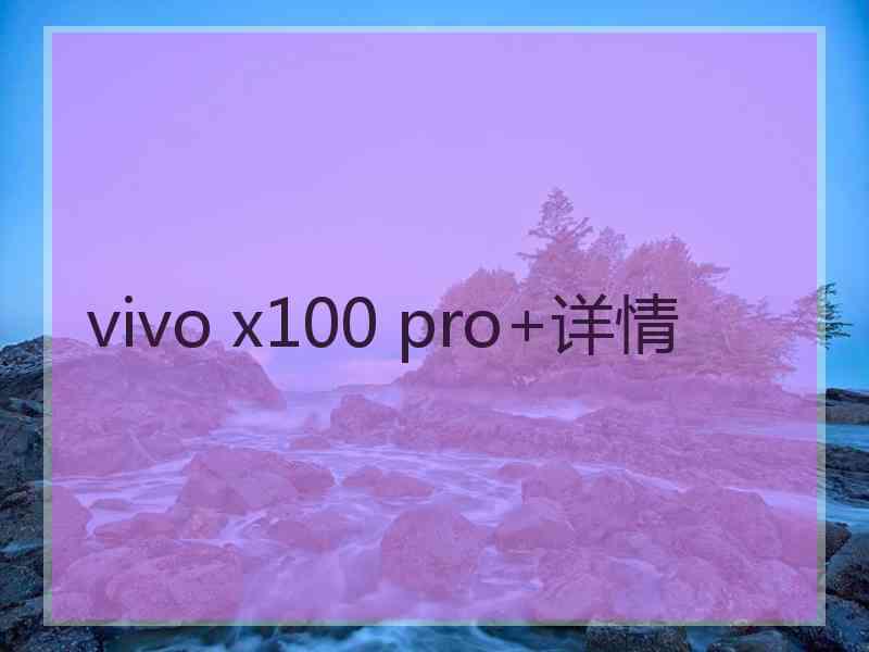 vivo x100 pro+详情