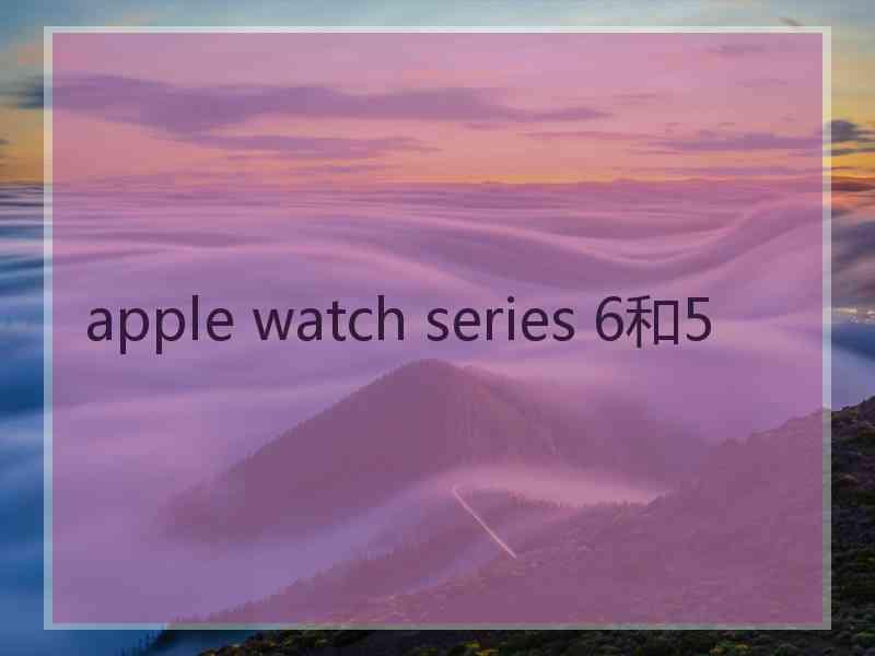 apple watch series 6和5