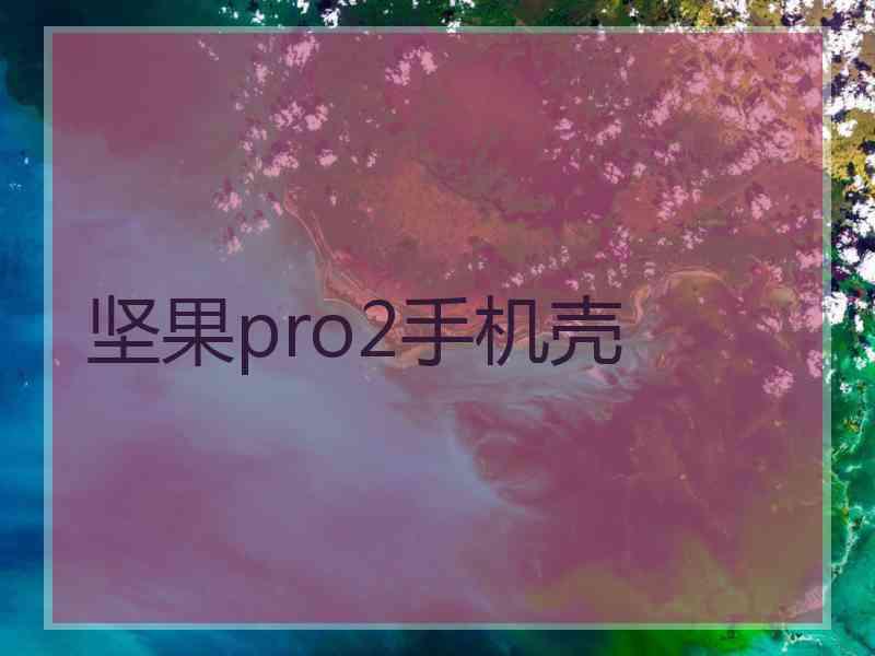 坚果pro2手机壳