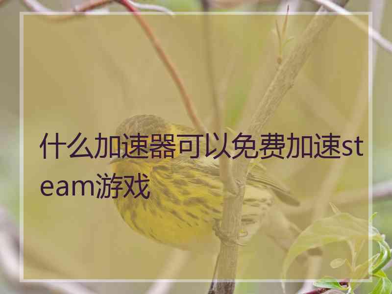 什么加速器可以免费加速steam游戏