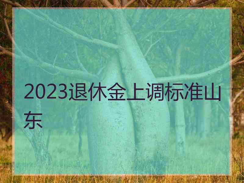 2023退休金上调标准山东