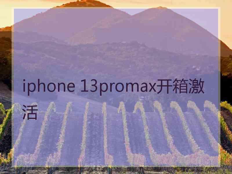 iphone 13promax开箱激活