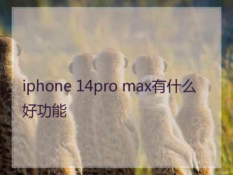 iphone 14pro max有什么好功能