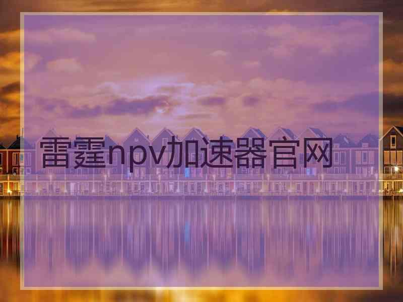 雷霆npv加速器官网