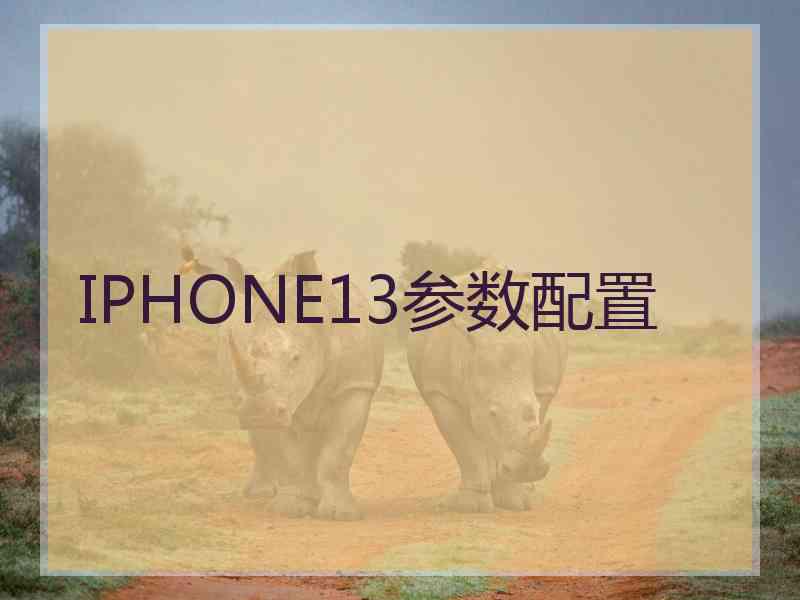 IPHONE13参数配置