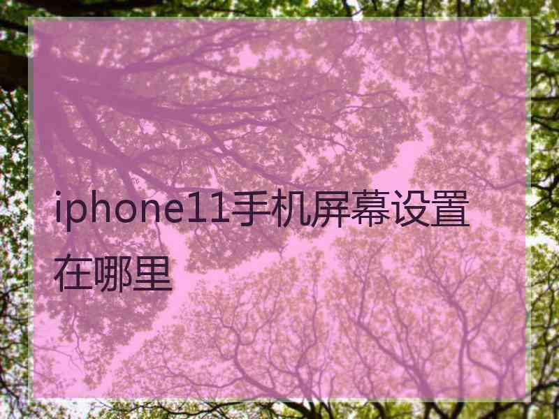 iphone11手机屏幕设置在哪里